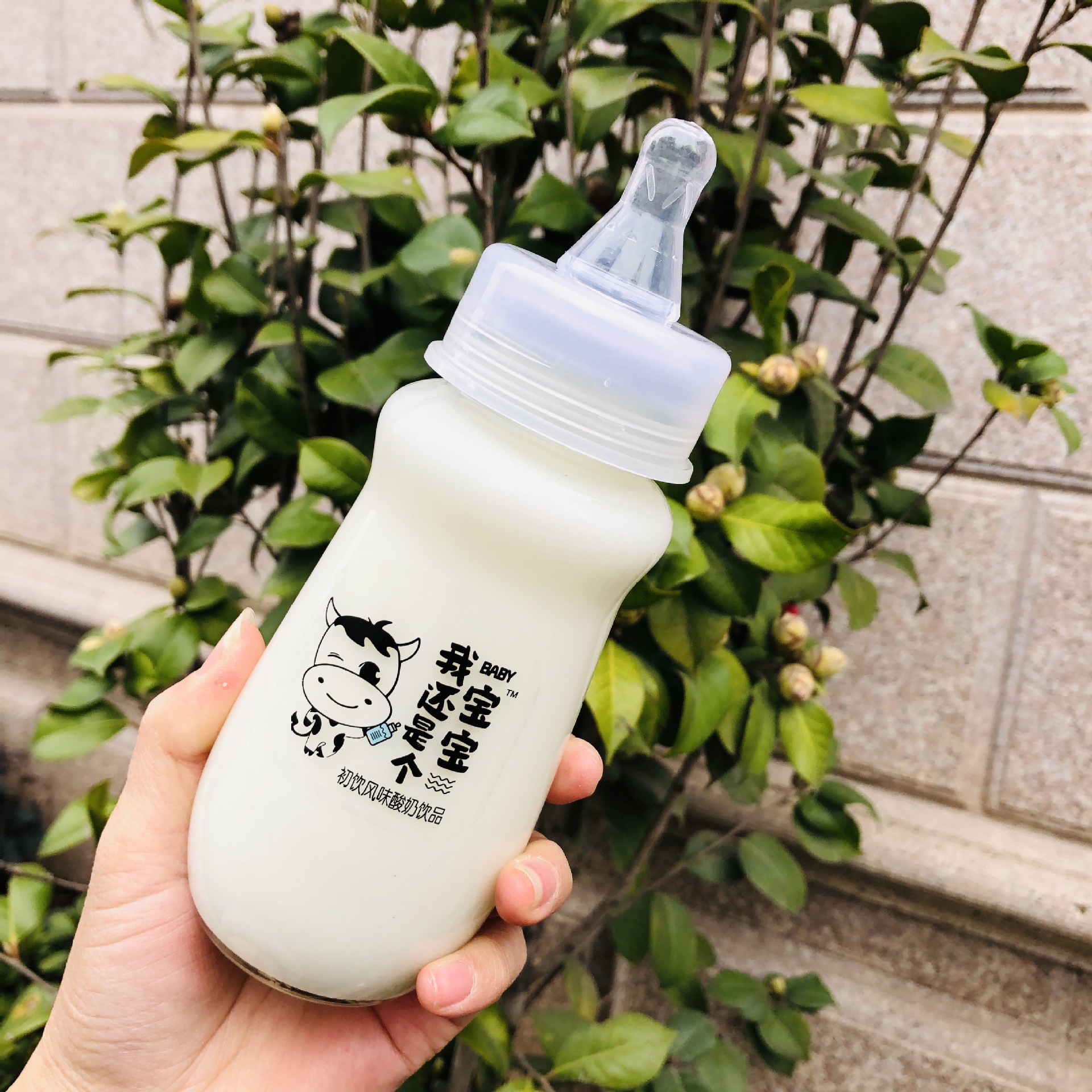 初饮酸奶玻璃瓶奶嘴 夏日热销280mlx20瓶整箱批发