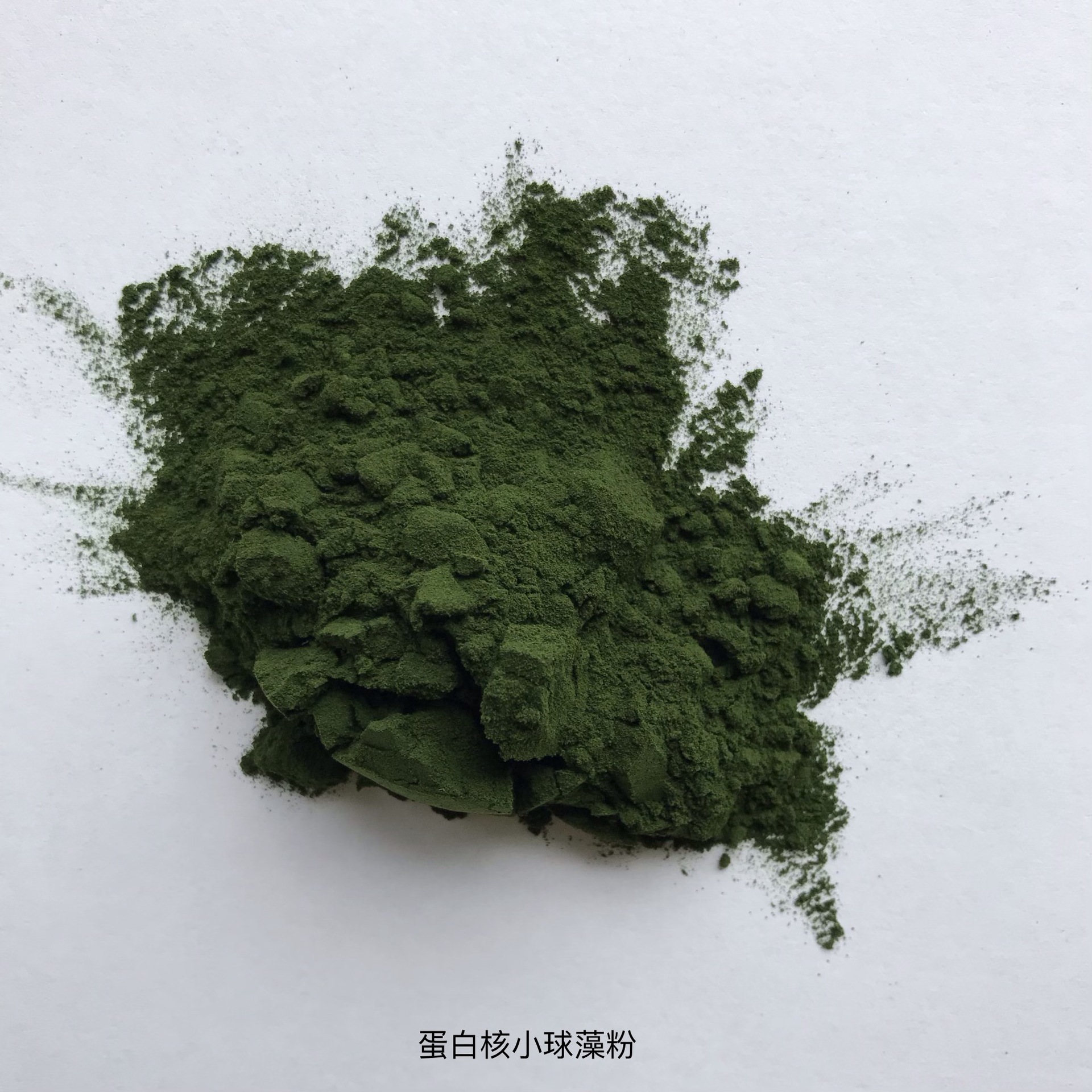 批量供应新资源食品优质绿藻粉 蛋白核小球藻粉 chlorella powder