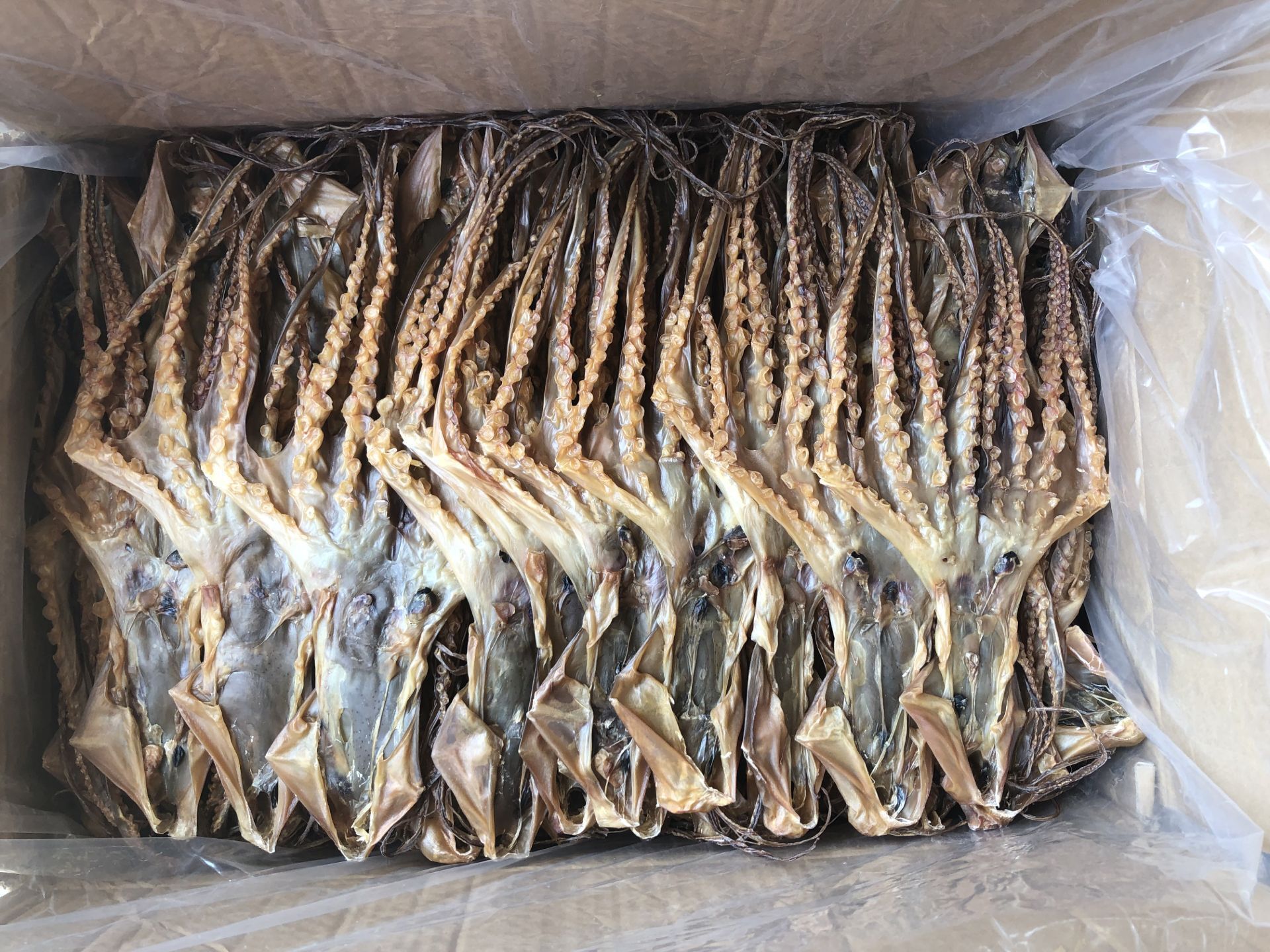 章鱼干(大号吊章,规格7条左右,一件30斤装)