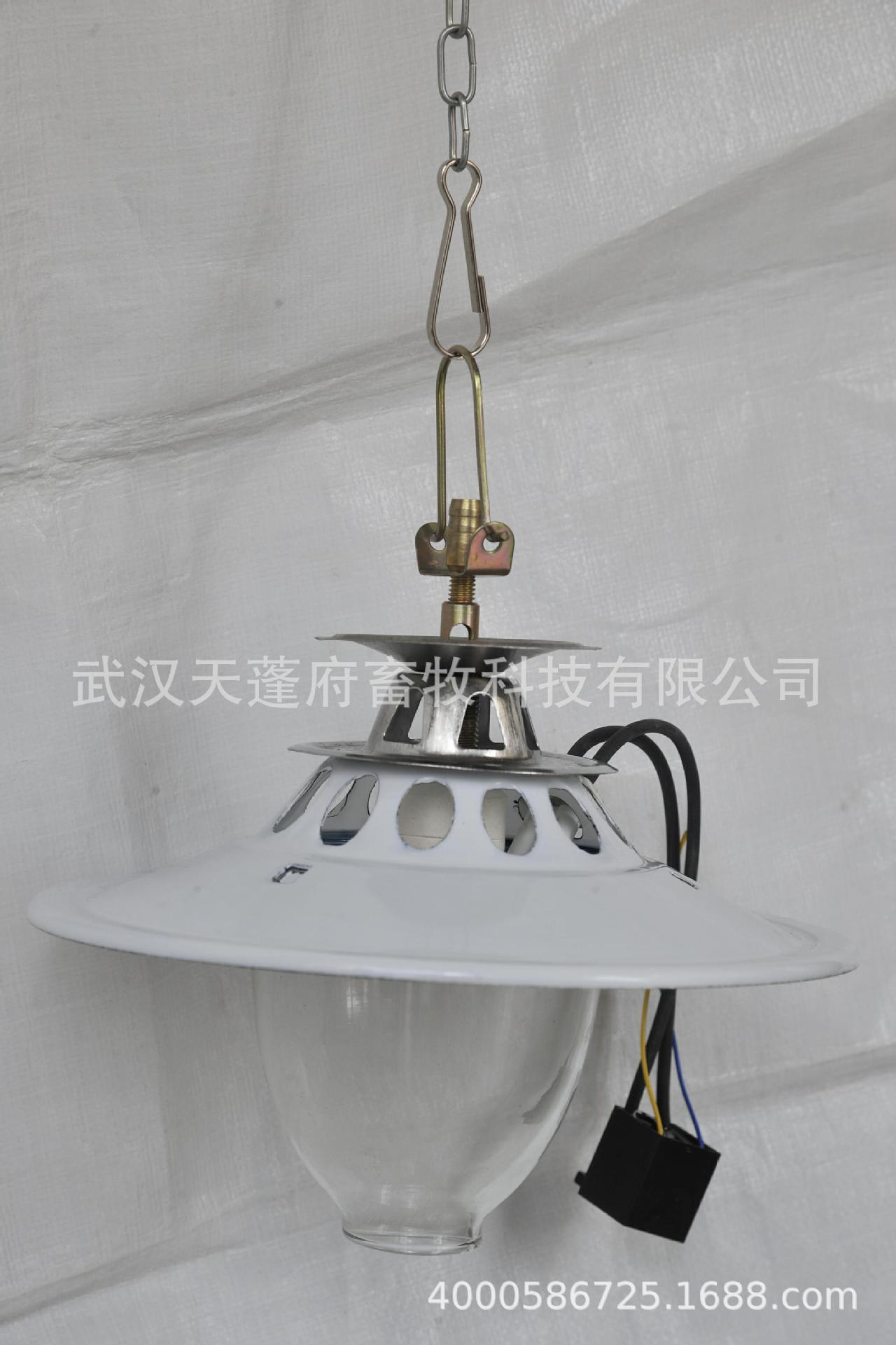 家用沼气灯沼气照明灯沼气灯