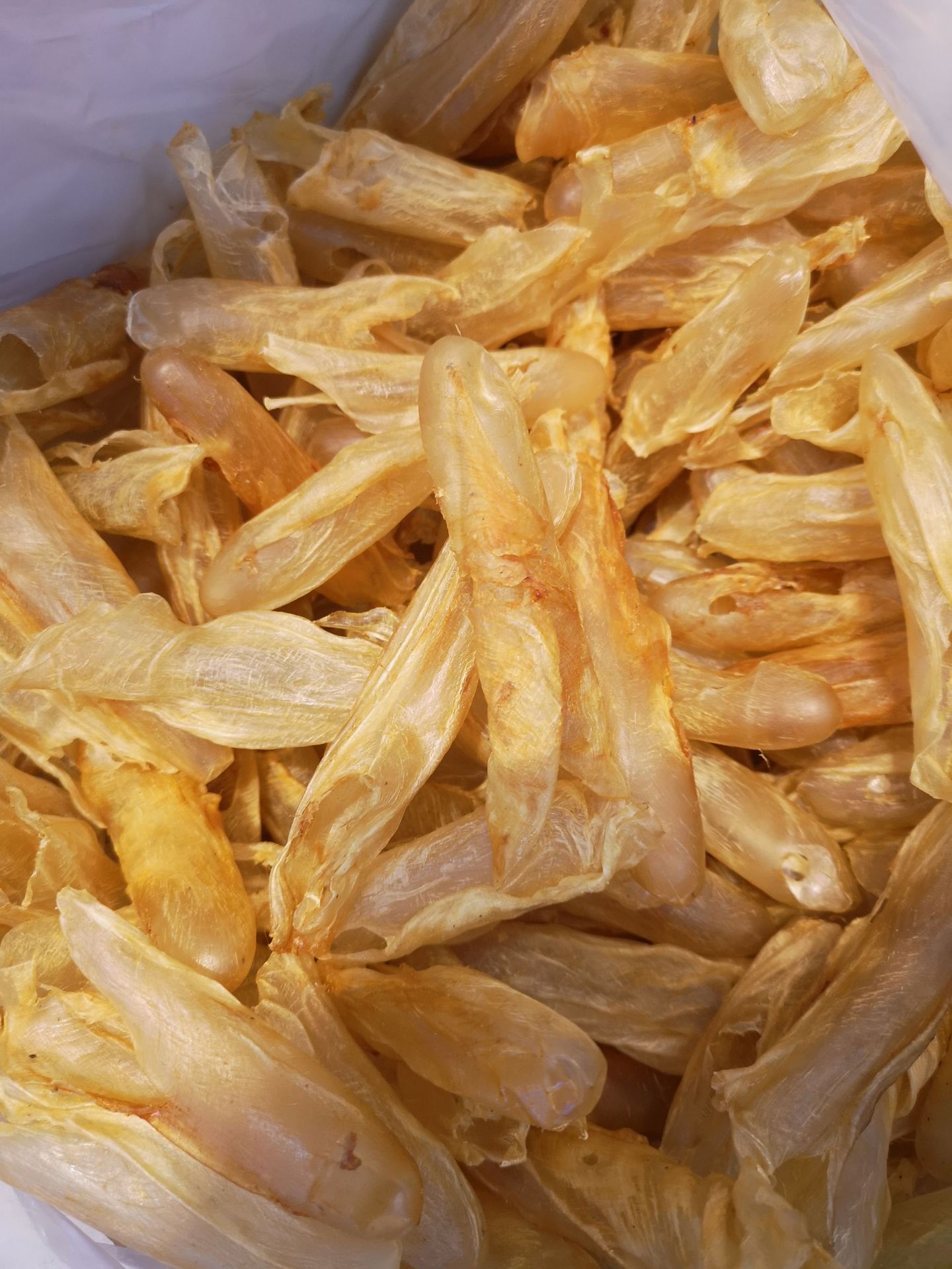 批发黄花鱼胶250约50头 花胶干货鱼肚 鱼膘一件代发