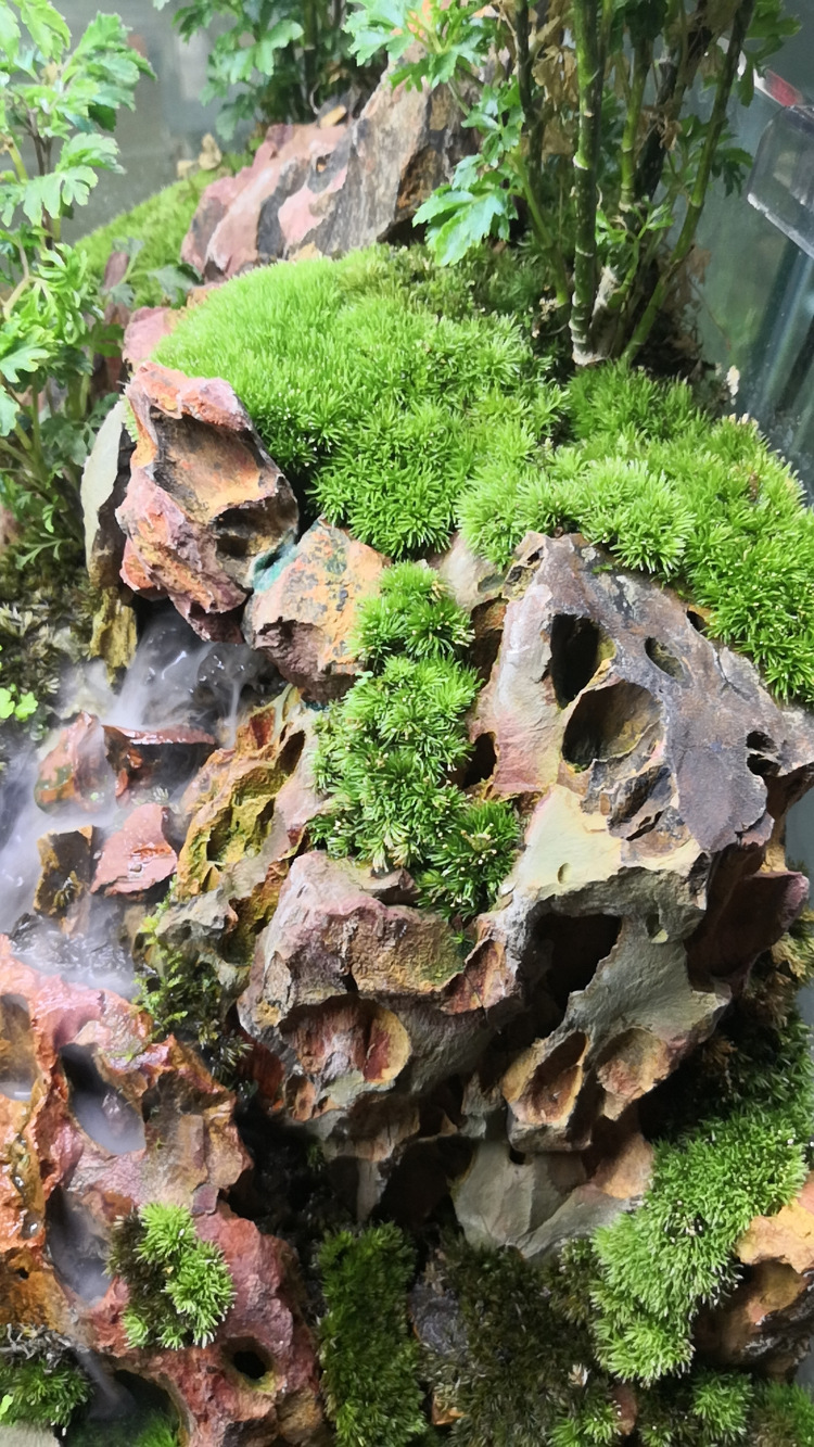 批发水族底沙石造景石头水族生态鱼缸装饰假山摆件骨架松皮石