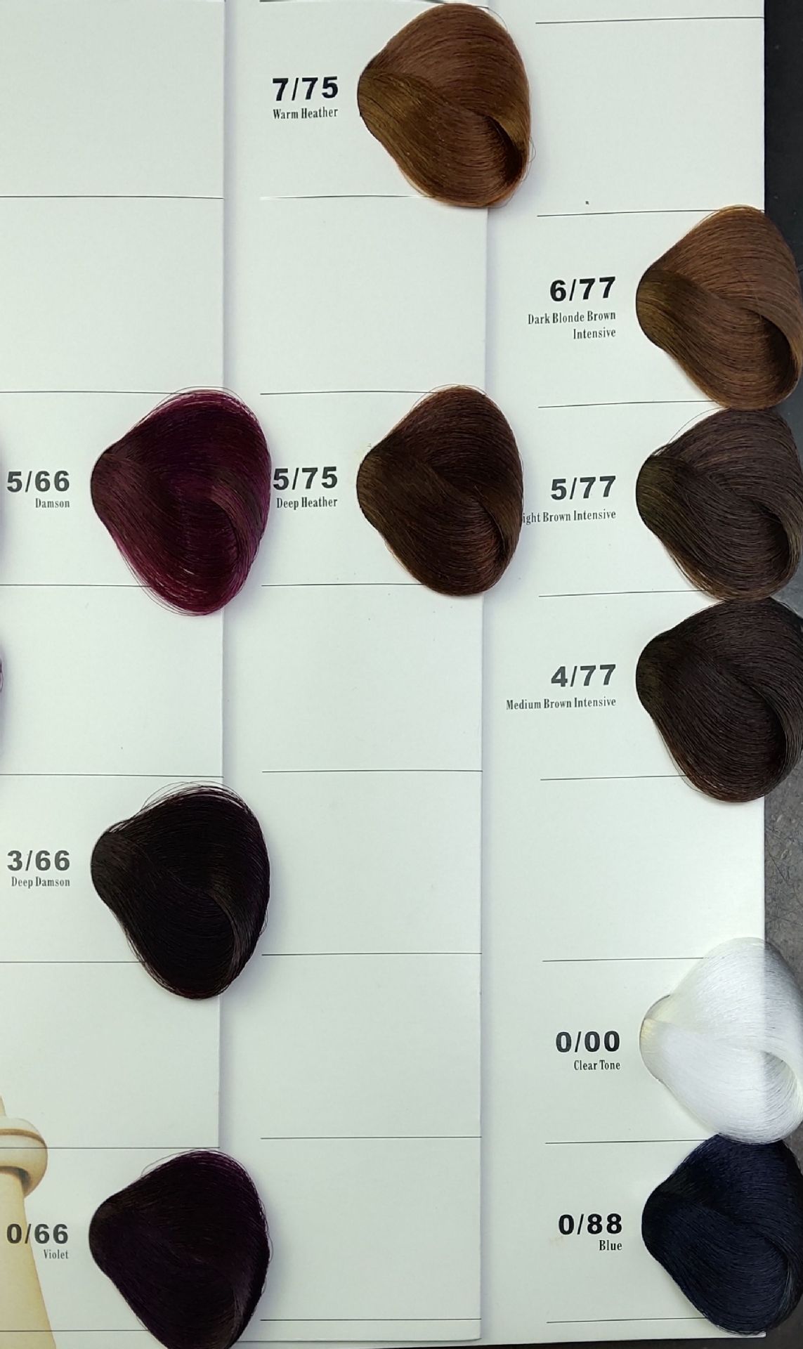 美发店批发专业单支染膏中山佳丽利威丝染发剂曼斯特染膏赠送双氧