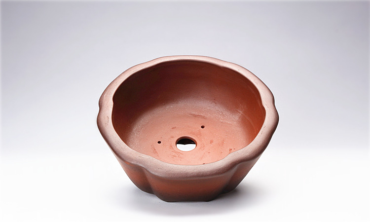 紫砂素盆小花盆马槽浅口花瓣形状盆栽盆景阳台多肉种植肉菖蒲