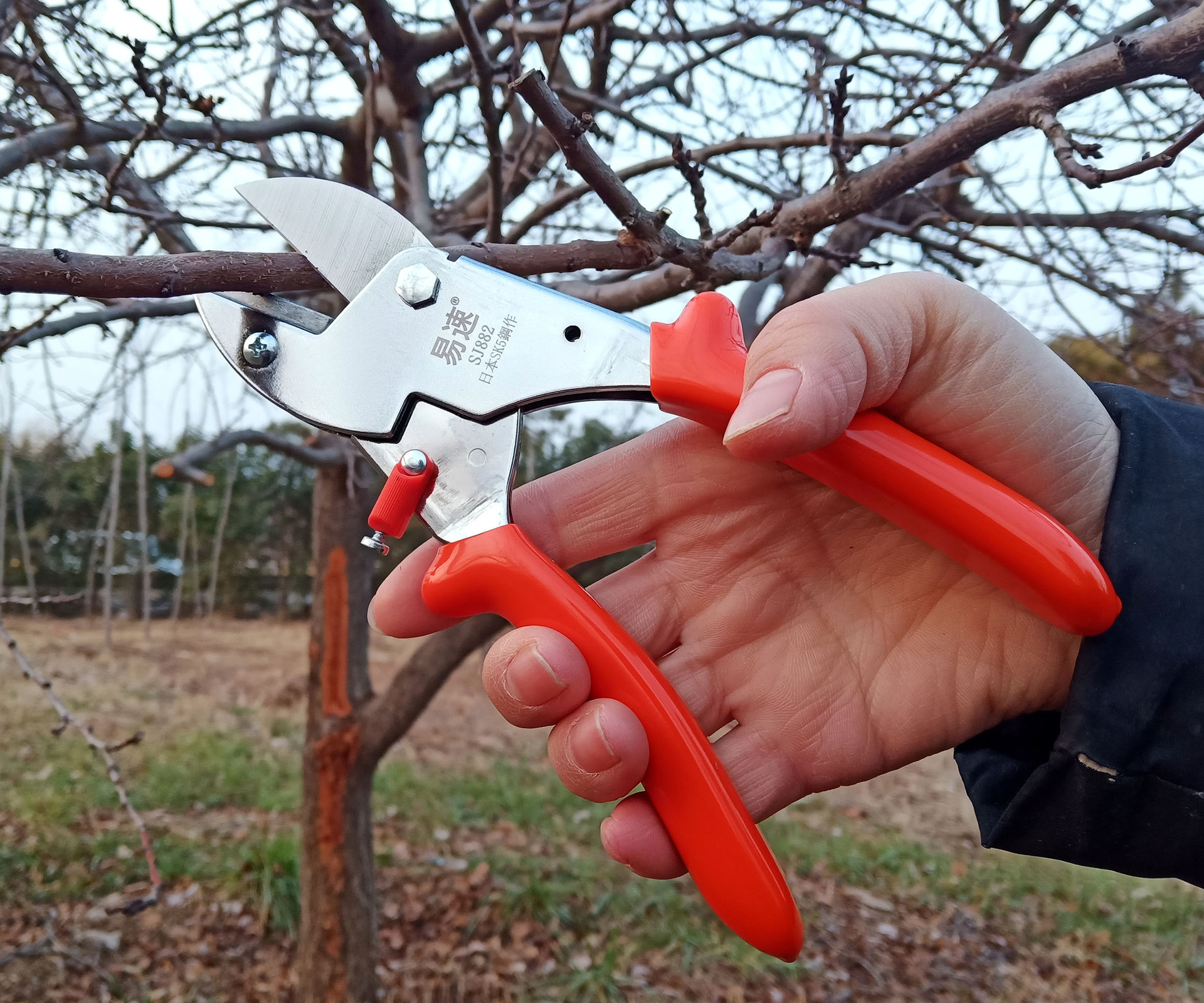 易速sj882修枝剪 葡萄省力剪刀果树剪修树枝剪子花枝园林园艺剪刀