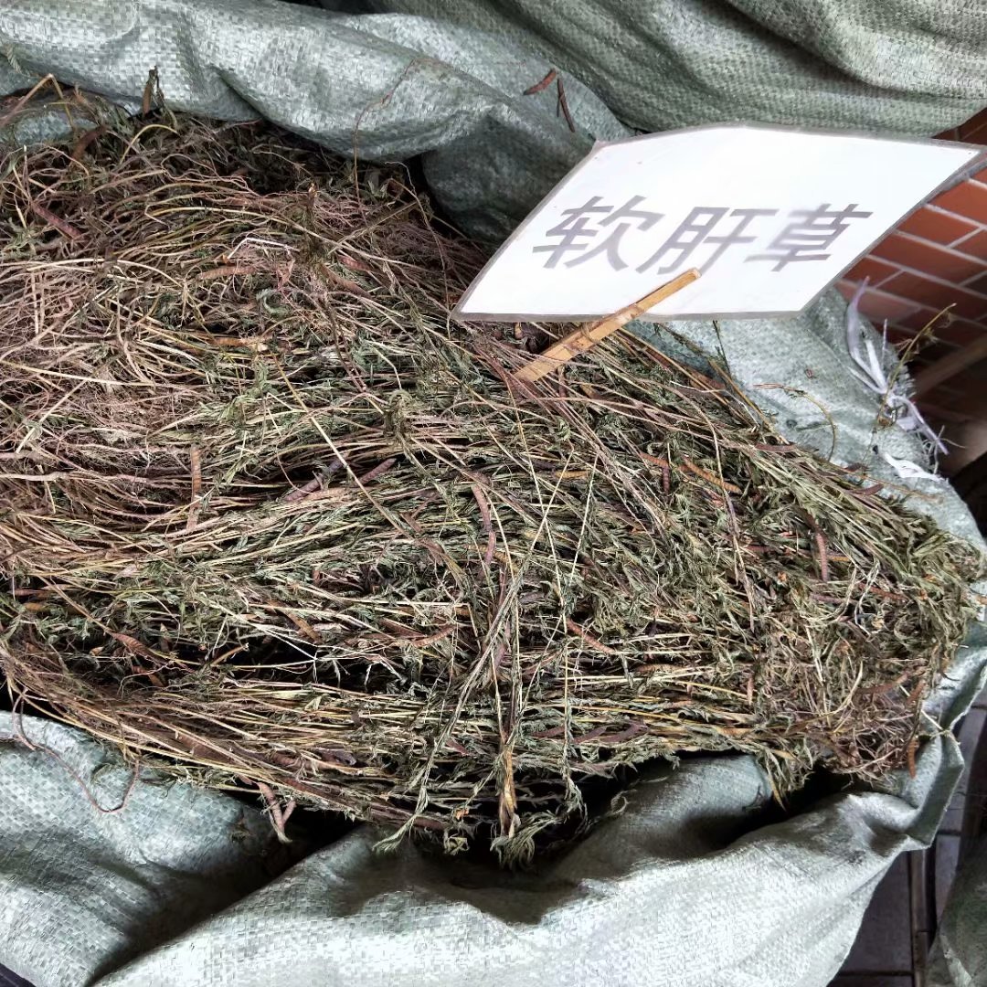 中药材软肝草 软肝草整棵  铁甲草