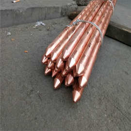 纯铜接地棒