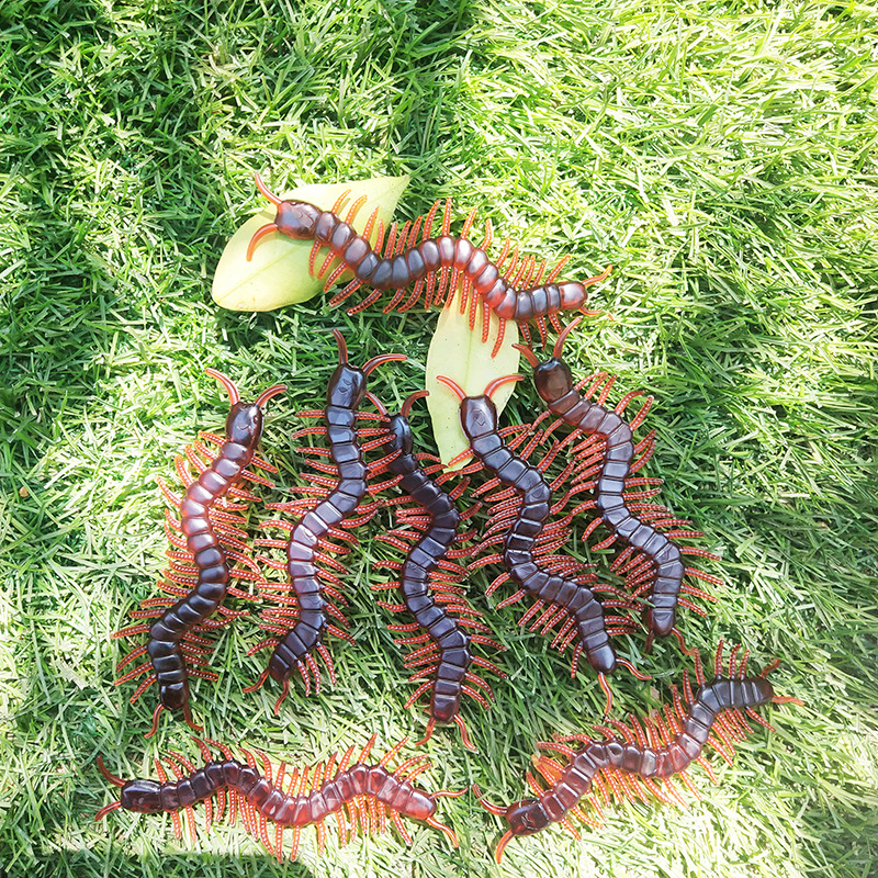 跨境热销 整蛊玩具仿真蜈蚣 整人新奇特创意小玩具动物 现货批发
