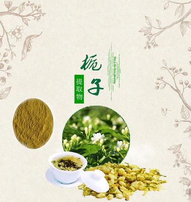 栀子提取物 栀子花粉10:1 栀子天然色素植物提取物浓缩粉天然粉