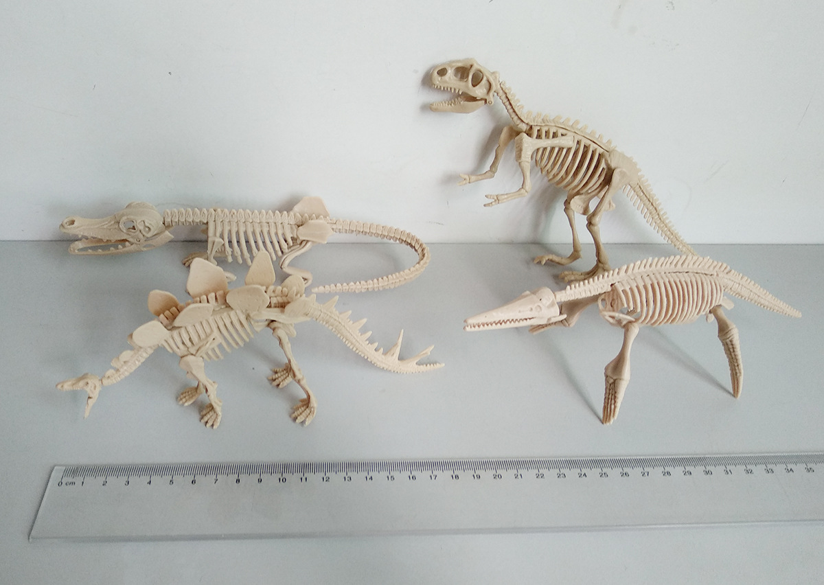 21cm恐龙骨架 拼装考古五款恐龙骨架 鳄鱼化石 剑龙骨架 雷龙化石