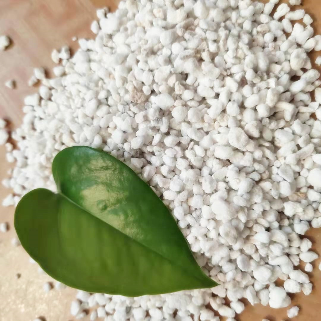 厂家现货园艺养花珍珠岩颗粒多肉育苗基质兰花种植珍珠岩