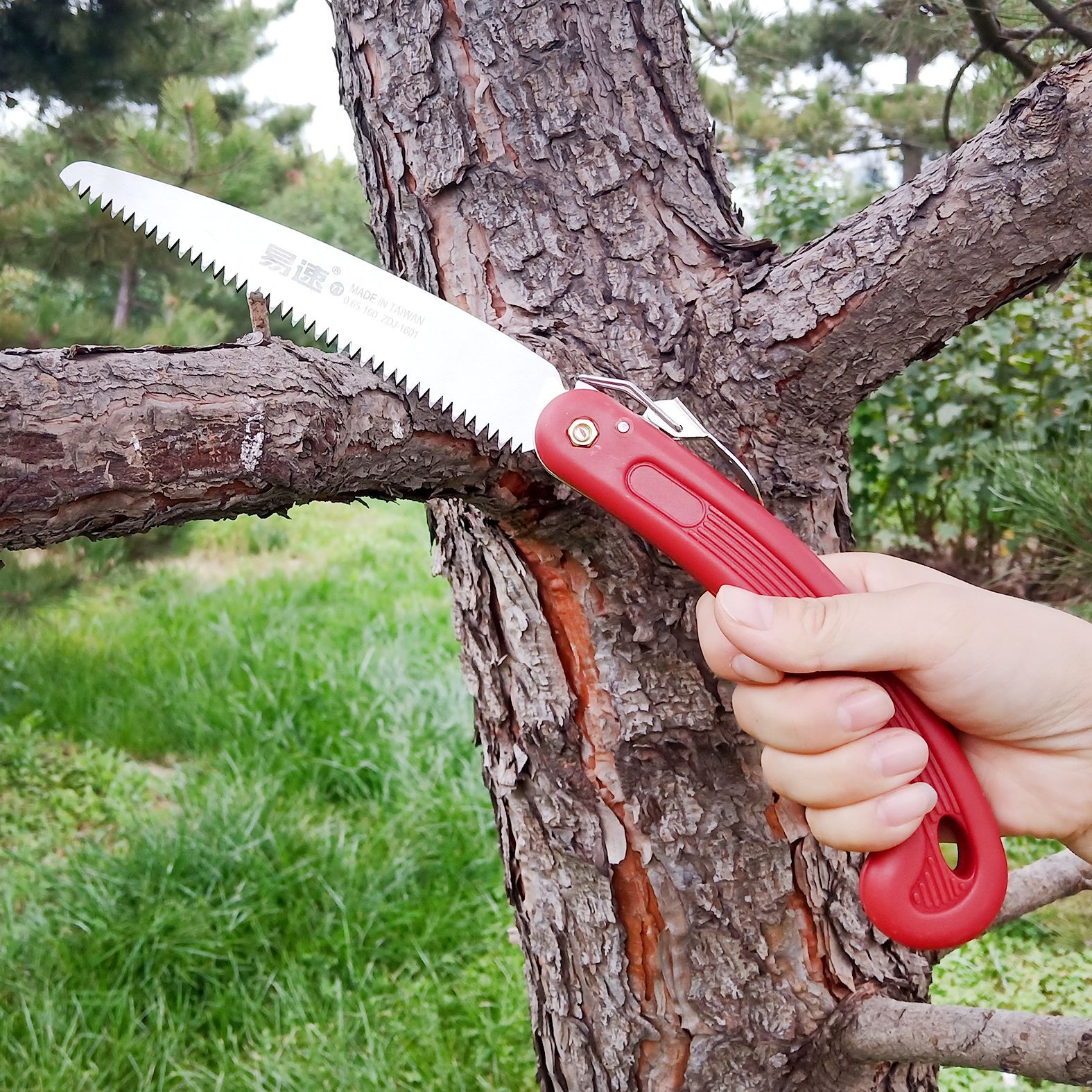 易速牌修枝锯zdj-1601折叠手锯腰锯手工锯伐木锯果树修枝锯树枝锯