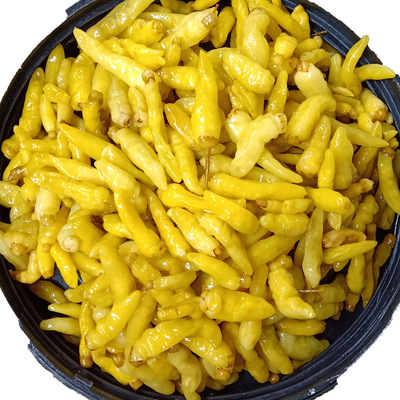 厂家泡椒30公斤四川泡野山椒小米辣泡椒散装泡椒凤爪泡辣椒批发