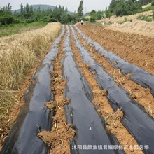 黑色塑料地膜工厂价农业除草苗圃蔬菜大棚用遮光耐用时间长腐蚀慢