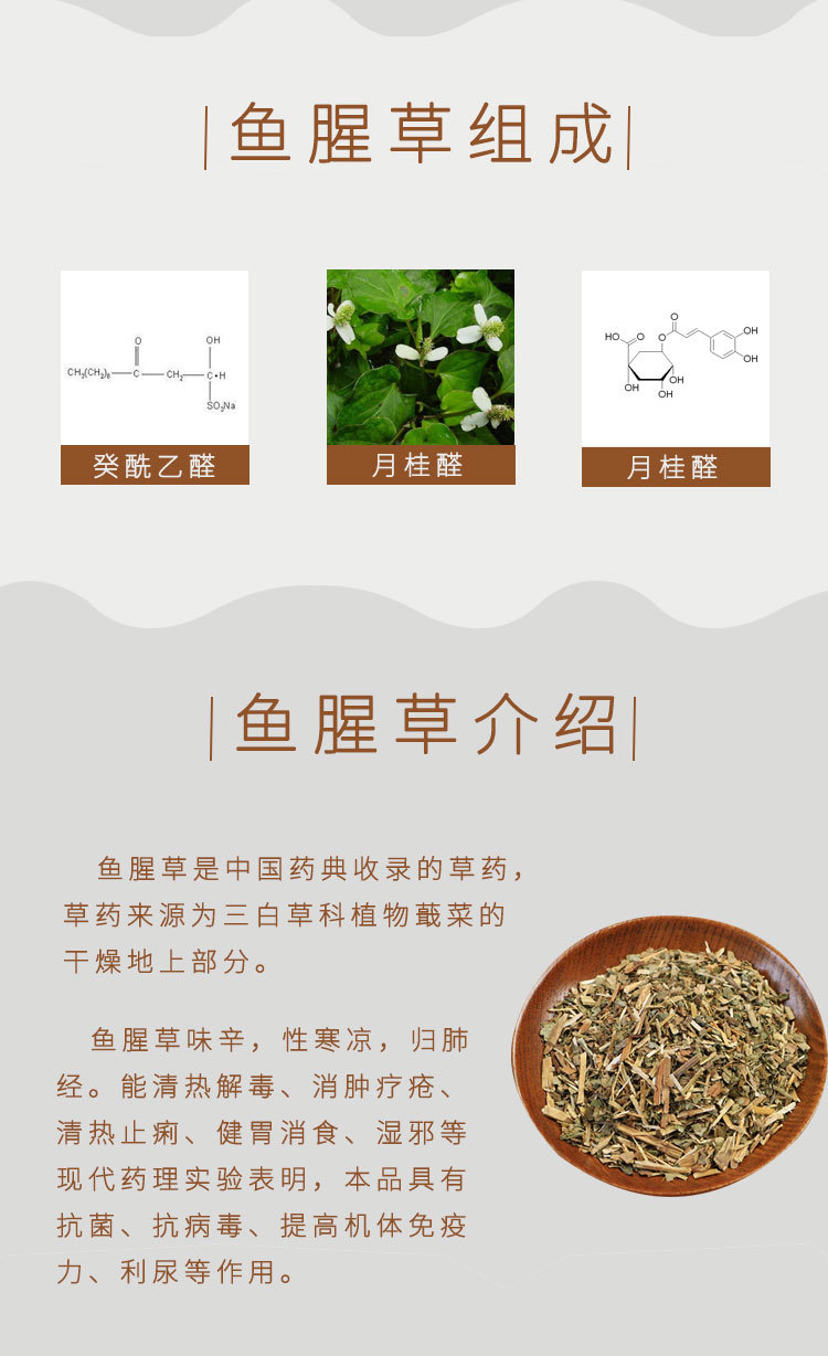 鱼鳖草 作用图片