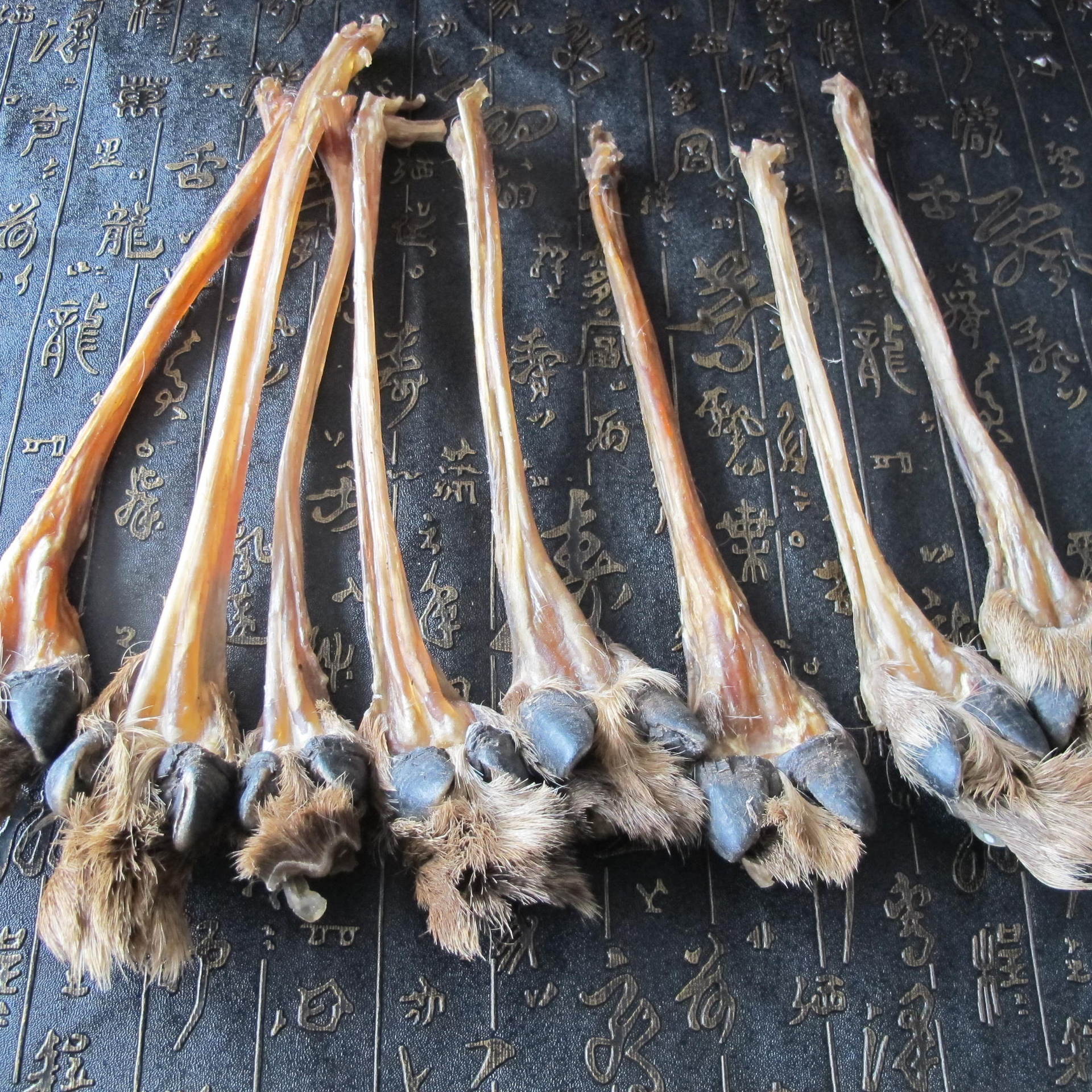 梅花鹿筋 干鹿筋 干鹿筋批发 现货供应 东北鹿乡特产