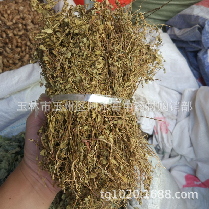 中药材小金牛草细金牛草小金不换细叶金不换小花远志干货
