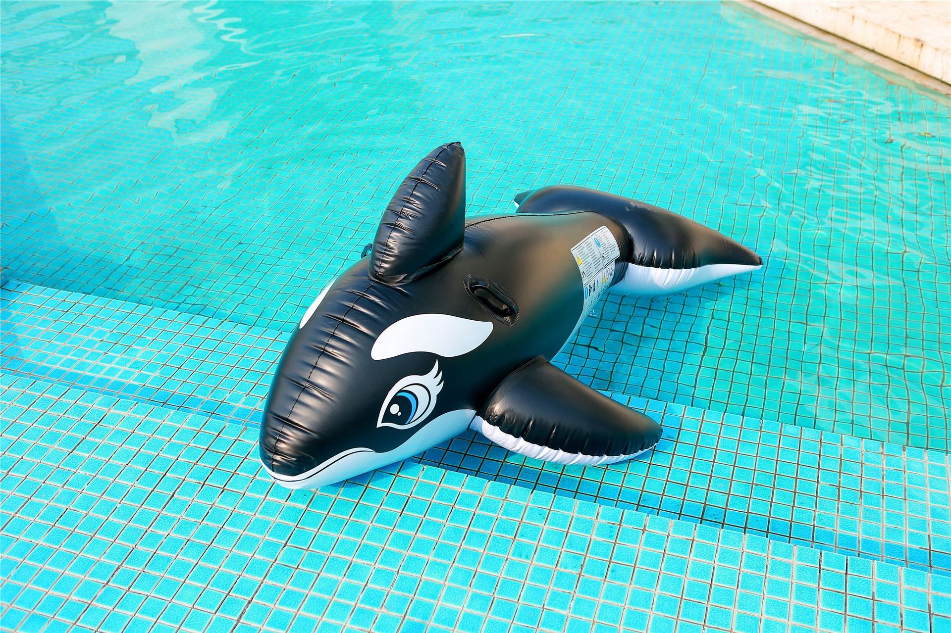 现货供应 海豚坐骑鲨鱼加厚pvc充气黑色鲸鱼浮排水上充气玩具