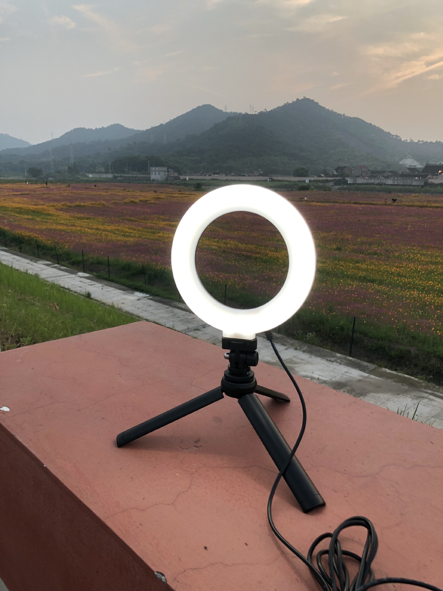 6寸美颜灯 手机直播补光灯 自拍美颜灯加小云台 led环形灯