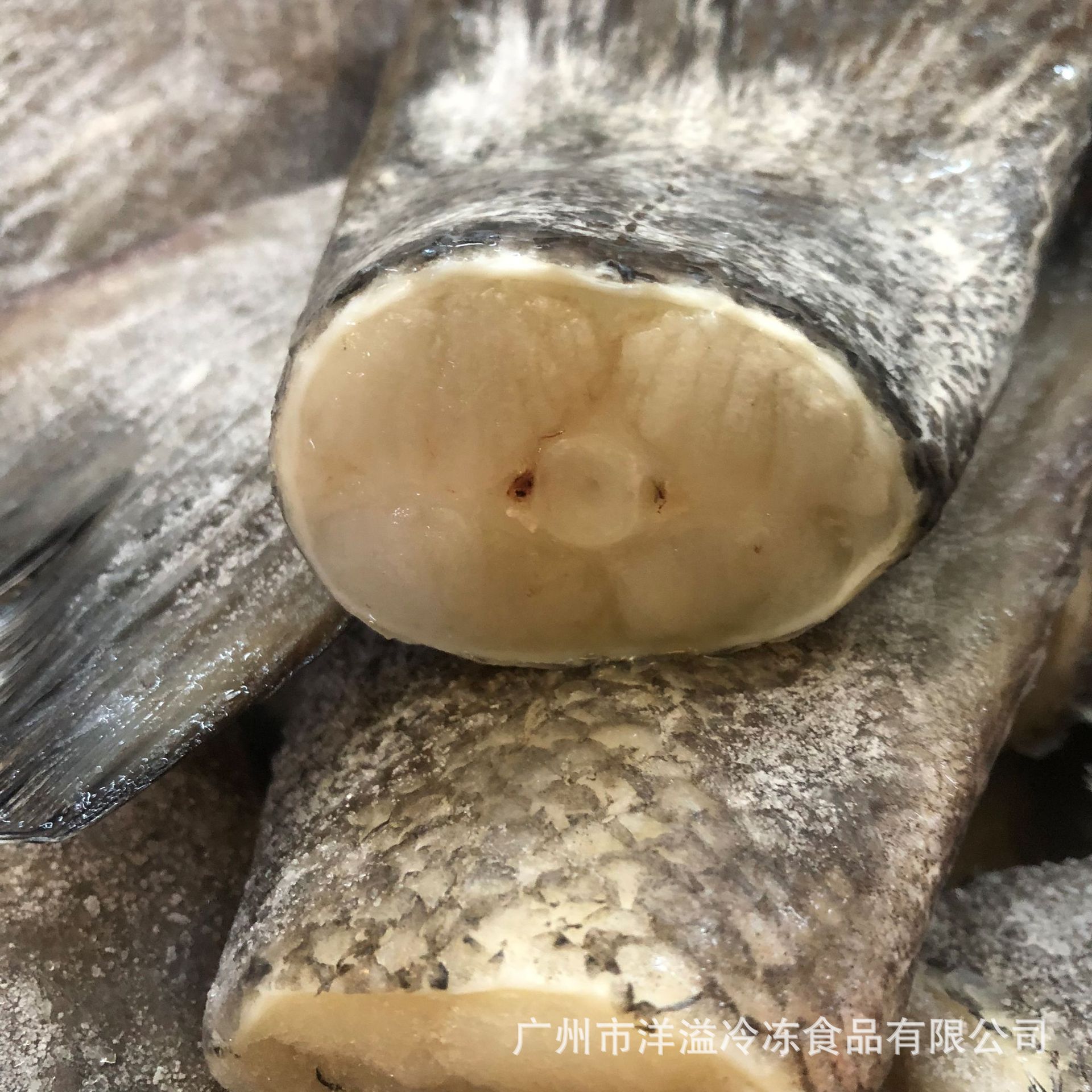 鳕鱼尾 银鳕鱼 冷冻 银雪鱼尾 银雪鱼尾 香煎鱼扒