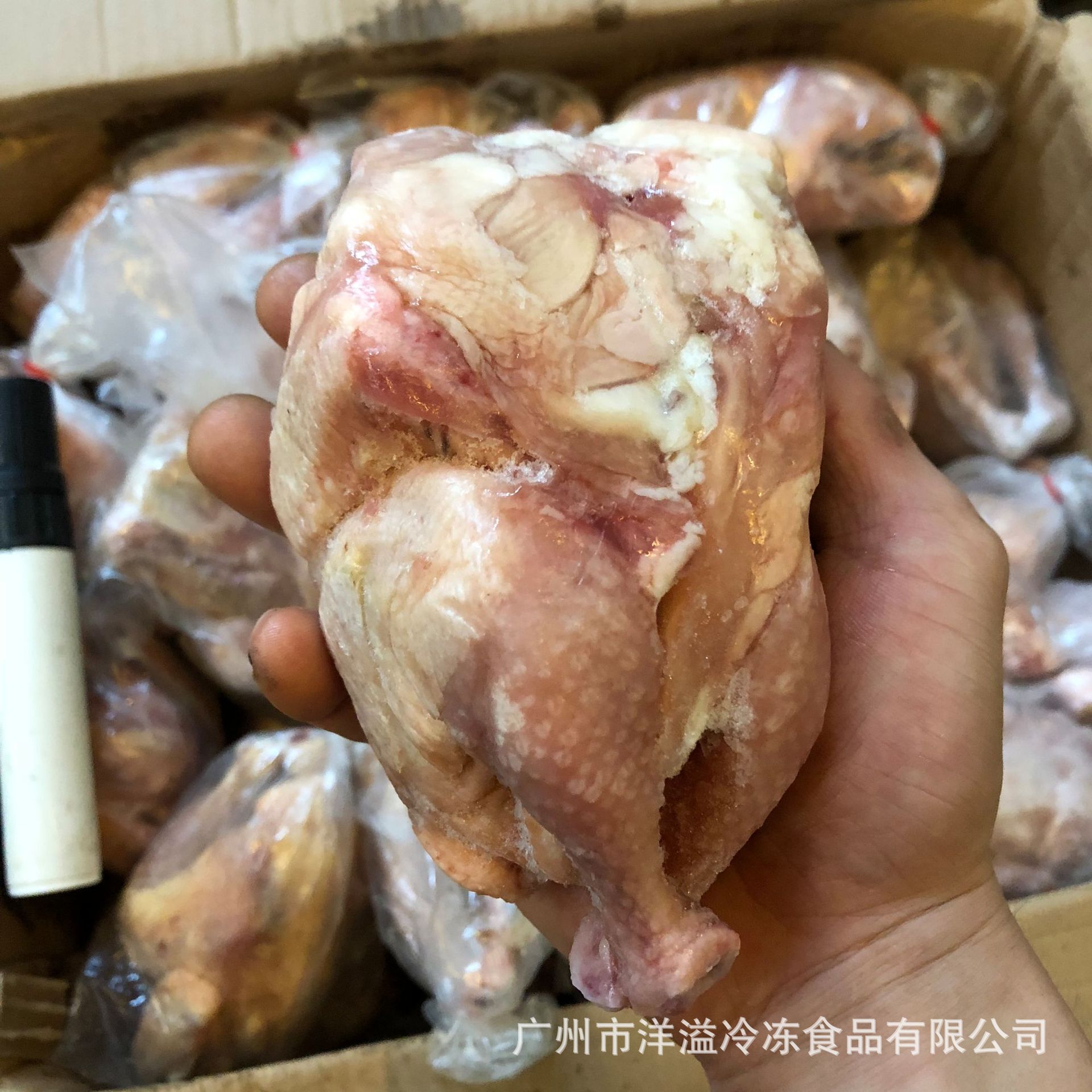 西装鸡 冷冻 三黄鸡 脆皮鸡 炸鸡 童子鸡 275克x36只/箱