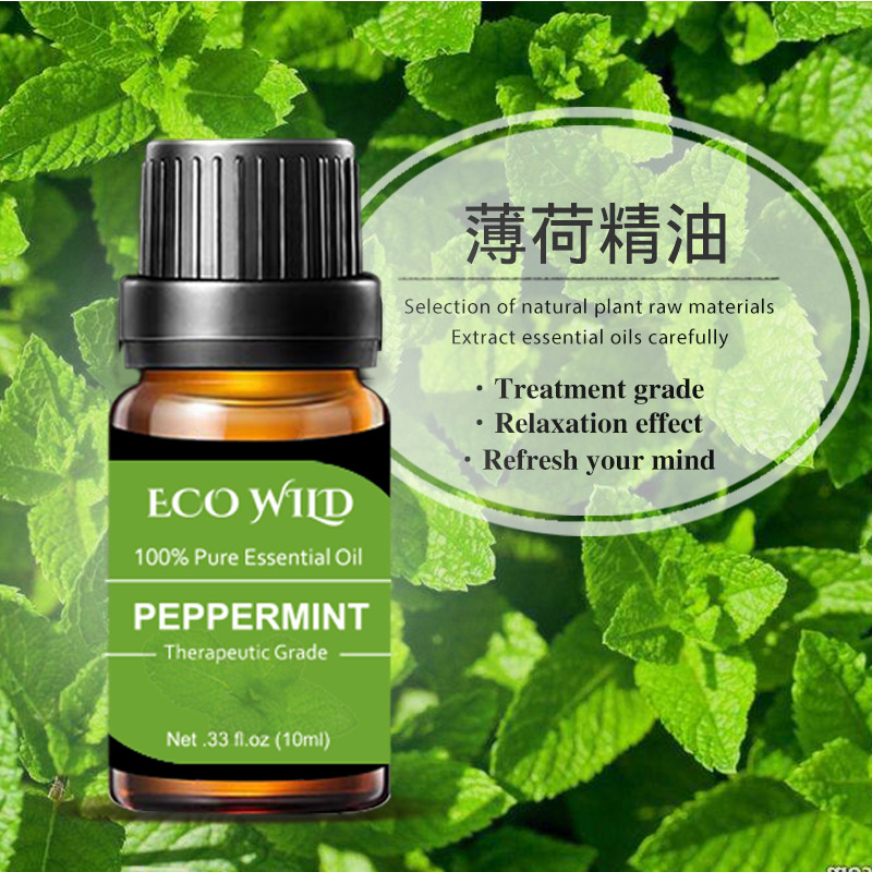 单方精油 跨境专供货源薄荷精油10ml 一件代发