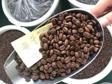 老迷坊印尼庄园精品黄金曼特宁咖啡豆 下单工厂新鲜烘焙 代产品牌