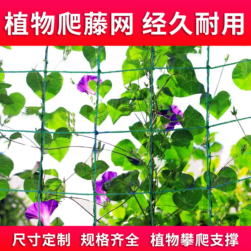 Cross-Border Supply Plant Pertool Green Gardening Household Passion Fruit Grape Silk Cucumber Climbing Net