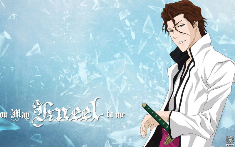 死神 镜花水月 斩魄刀斩魄刀 cos动漫道具刀伞 蓝染惣右介 未开刃