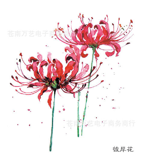 本品尺寸:80*90厘米商品描述图案彼岸花是否专利货源否加印logo可以