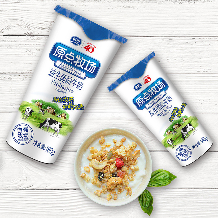 银桥益生菌发酵酸奶原味风味奶180g*12牛奶整箱批发