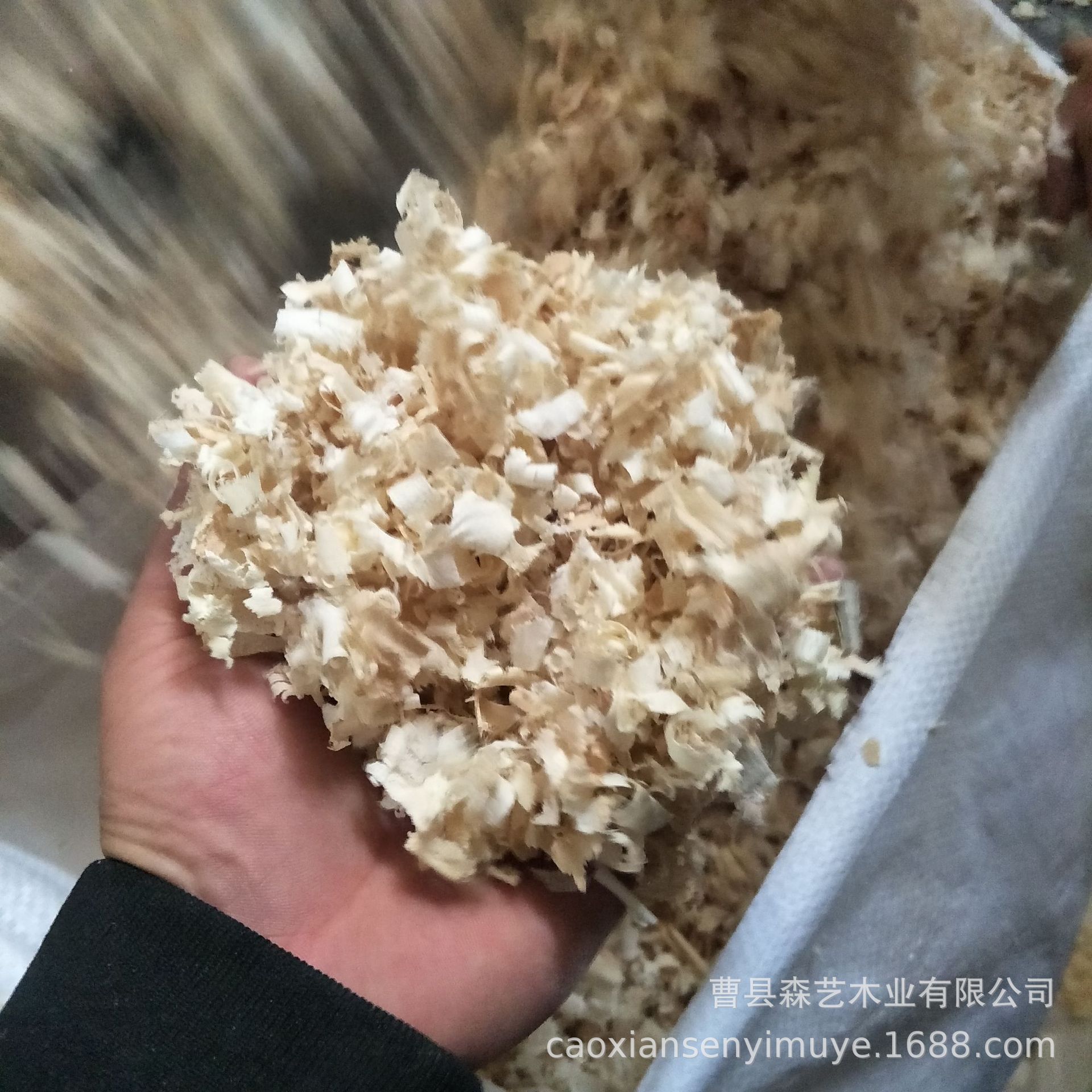 刨花木屑宠物垫窝刨花锯末粉除臭保暖防潮仓鼠木屑鹦鹉用品刨花