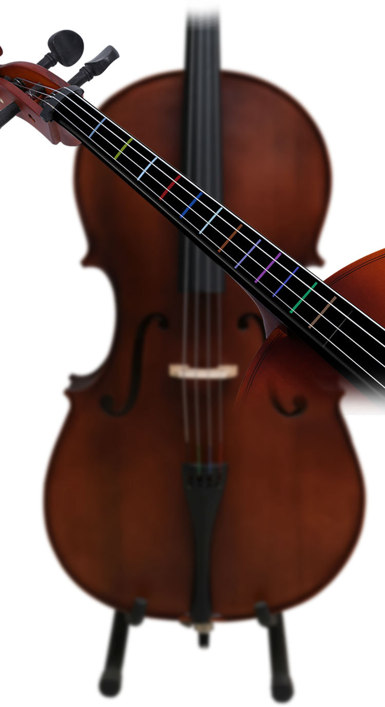 指板贴纸大提琴音准把位贴彩色无胶指位贴指法贴练习训练器音阶贴