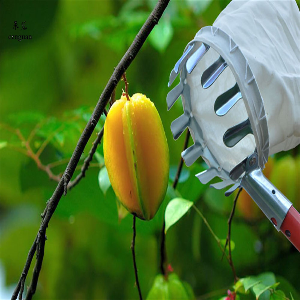 供应摘杨梅摘果器 摘水果工具 采摘桃子工具 不带杆摘杨梅手