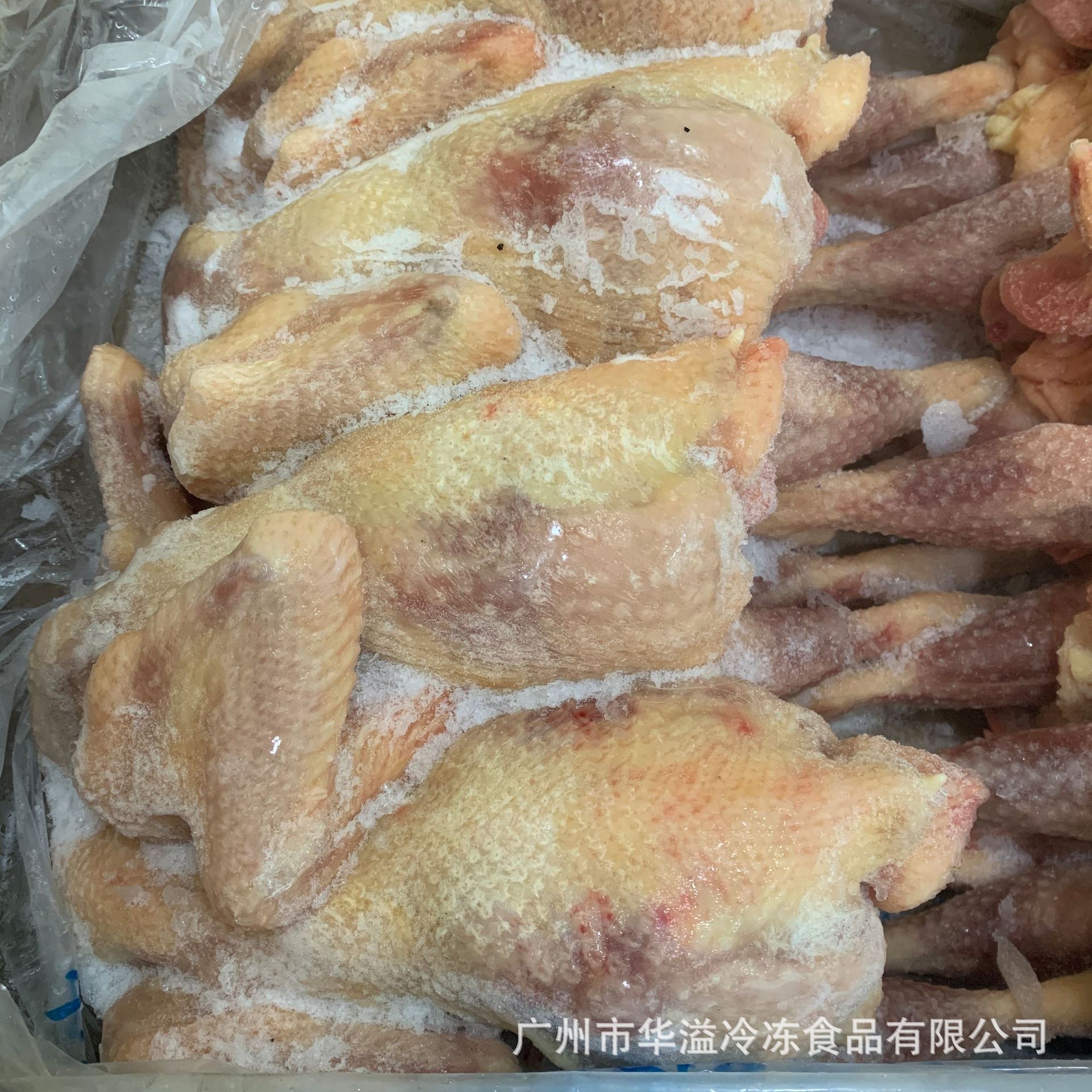 冷冻老鸡 老母鸡 8只/22斤/箱 广州批发冷冻老鸡 清远鸡 三黄鸡