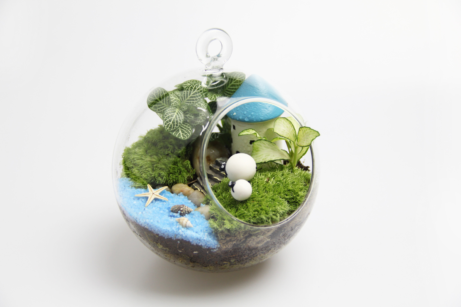 创意礼品 礼物 苔藓微景观套装 别墅造景瓶材料包 12cm圆底吊瓶