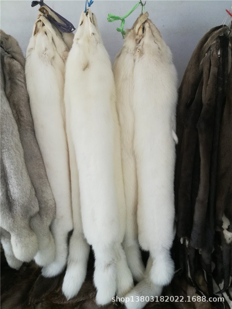 整张狐狸皮 进口狐狸皮 美国蓝狐 红狐 灰狐 白狐 玄狐 银狐