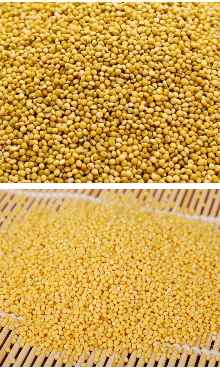 新鹦鹉粮 带壳黄谷子鸟粮 鸟食饲料 虎皮牡丹玄风有壳谷子小米