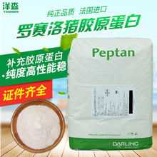 法国进口罗赛洛Peptan小分子水解猪皮胶原蛋白肽粉批发原料食品级