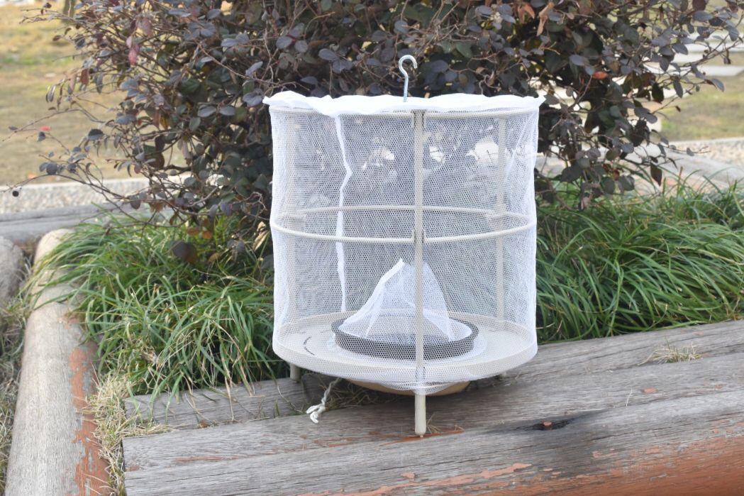 强力捕蝇器灭苍蝇抓捉神器灭蝇餐厅诱捕苍蝇笼子自动白色苍蝇笼