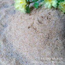 儿童海砂 沙池用圆粒质感细沙 跑马场沙坑用水洗白沙 广东沙