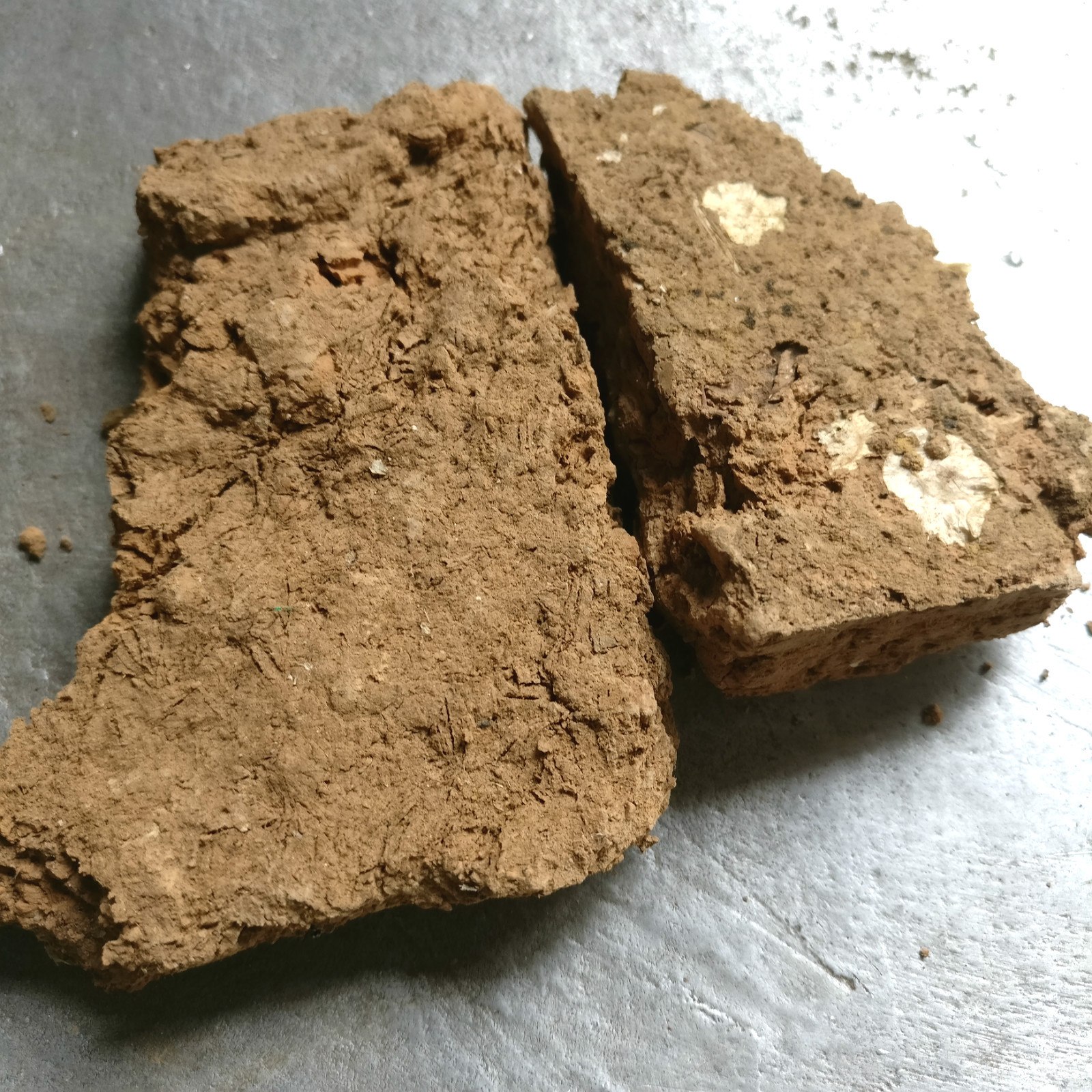 冷背中药材臭芜夷芜荑新货芜夷臭芜荑黄榆毛榆山榆白芜夷量大从优