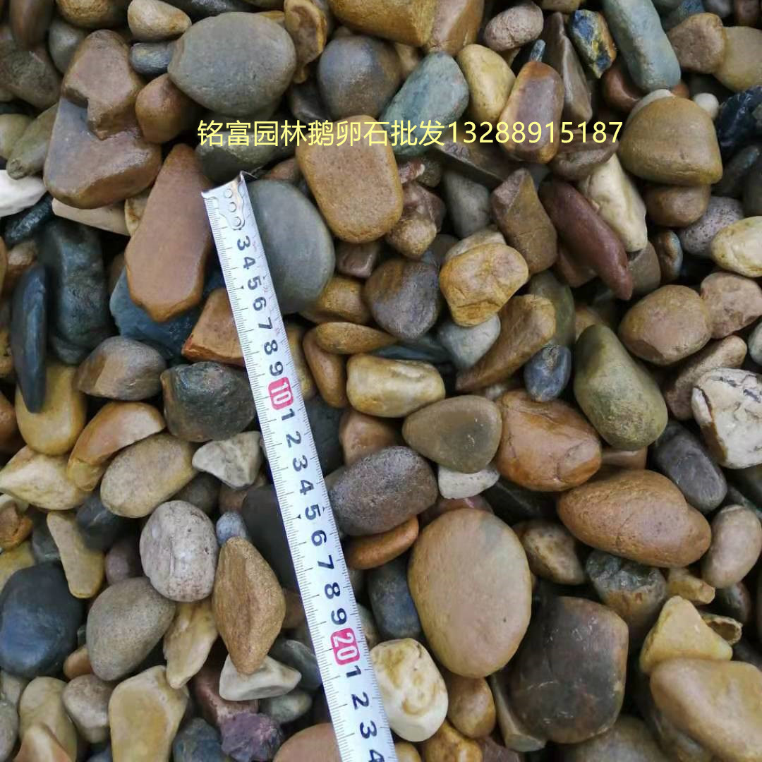 铺路石子批发 1公分鹅卵石 铺电压器石头 黄色灰色蓝色鹅卵石厂家