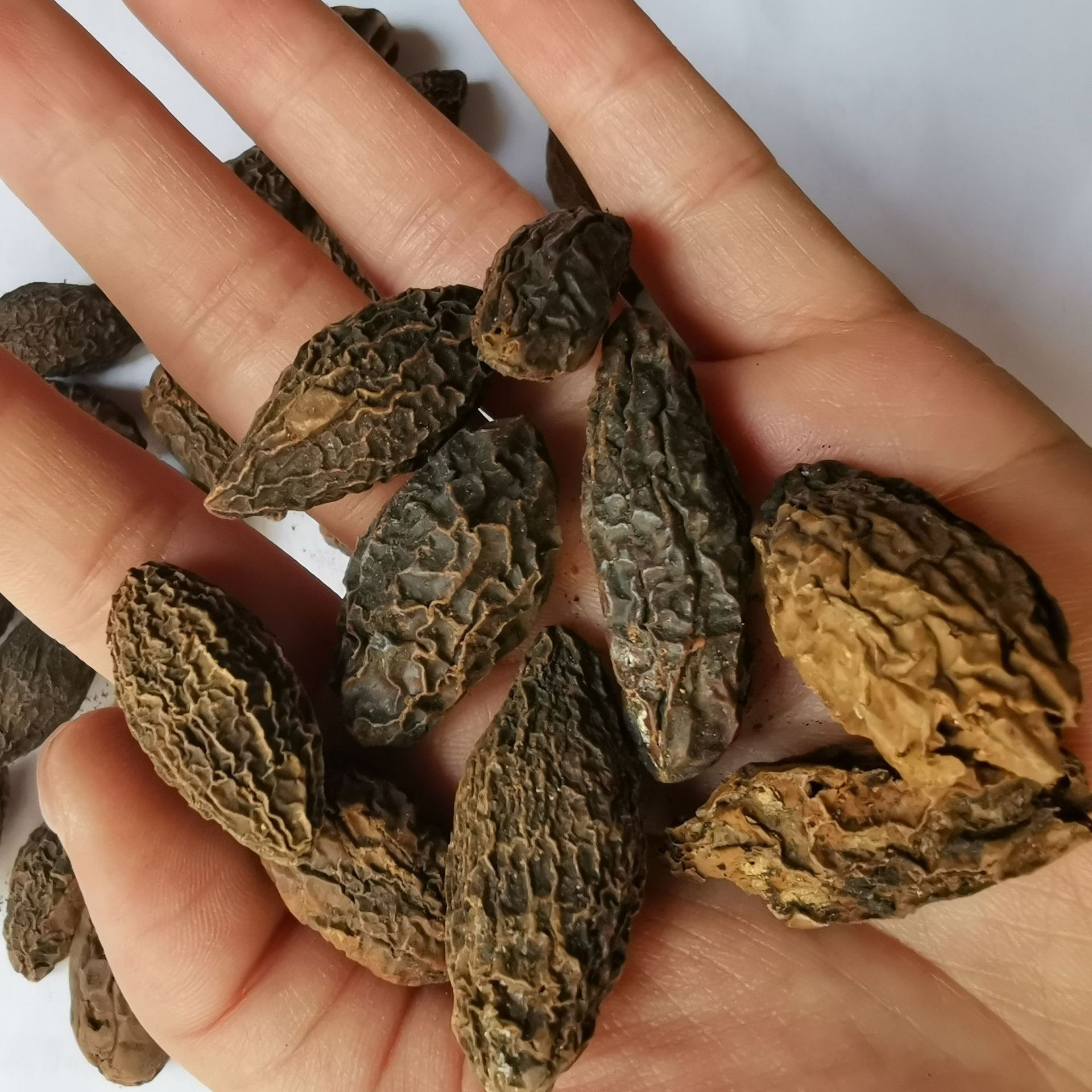 批发供应 西青果 干 藏青果 甘青果 橄榄果 谏果 白榄 甘榄