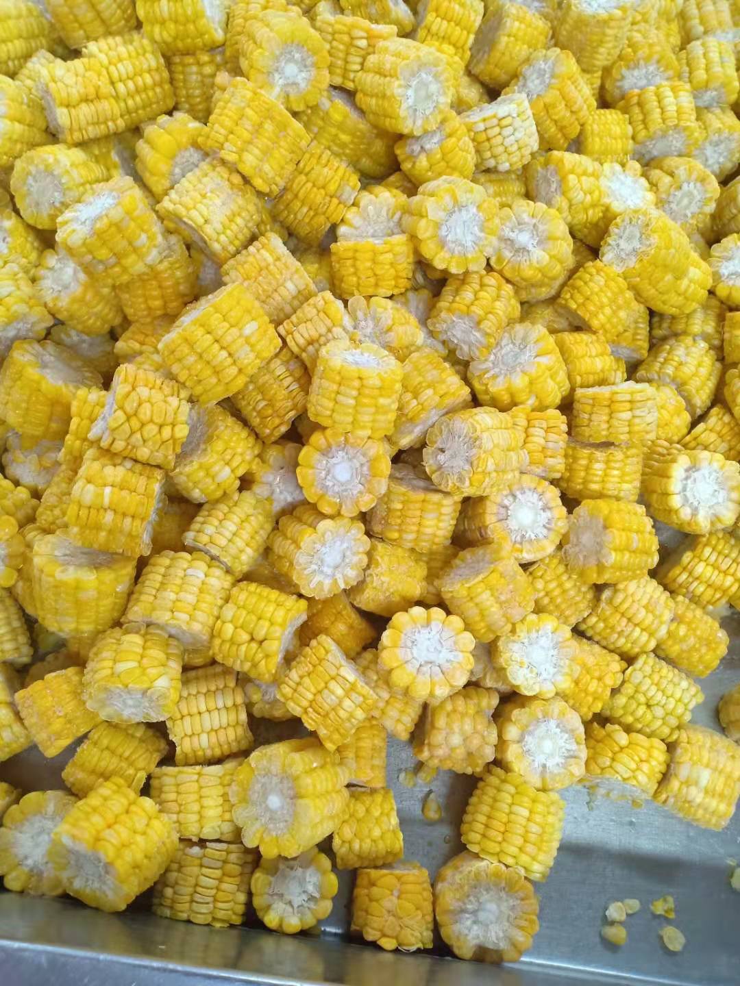 速冻甜玉米段 冷冻玉米段 餐厅饭店水果玉米 冷冻蔬菜 工厂直发