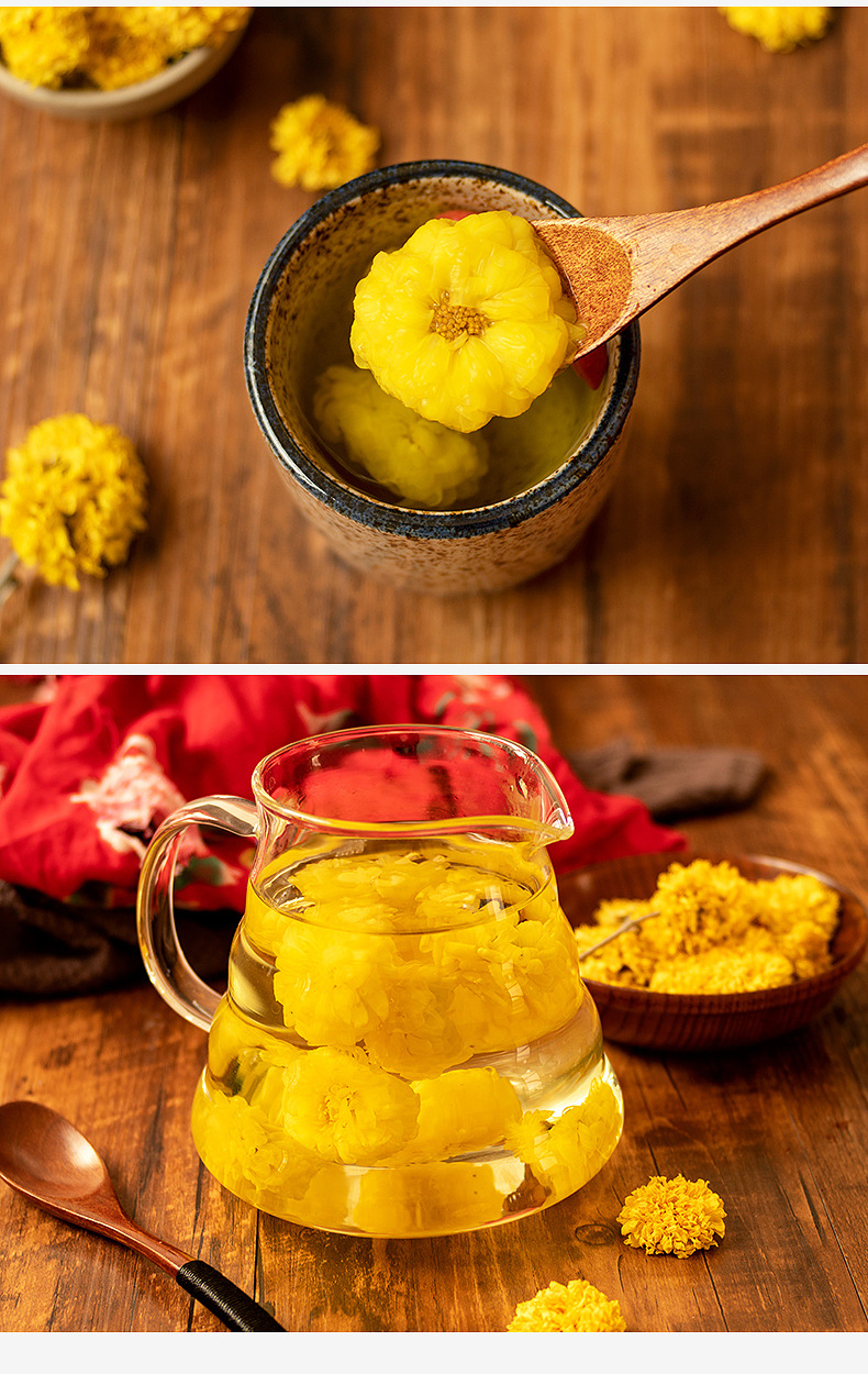 批发菊花冰菊花茶驰菊怀菊花韵级河南游念焦作云台山露灵特青