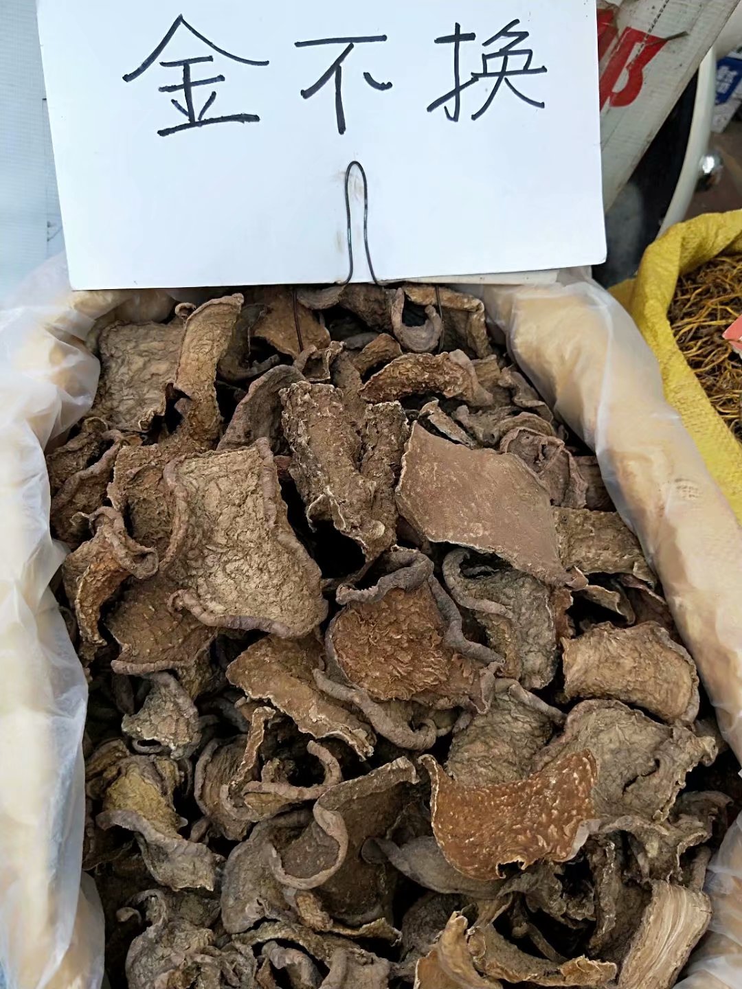 中药材金不换山乌龟每件500克