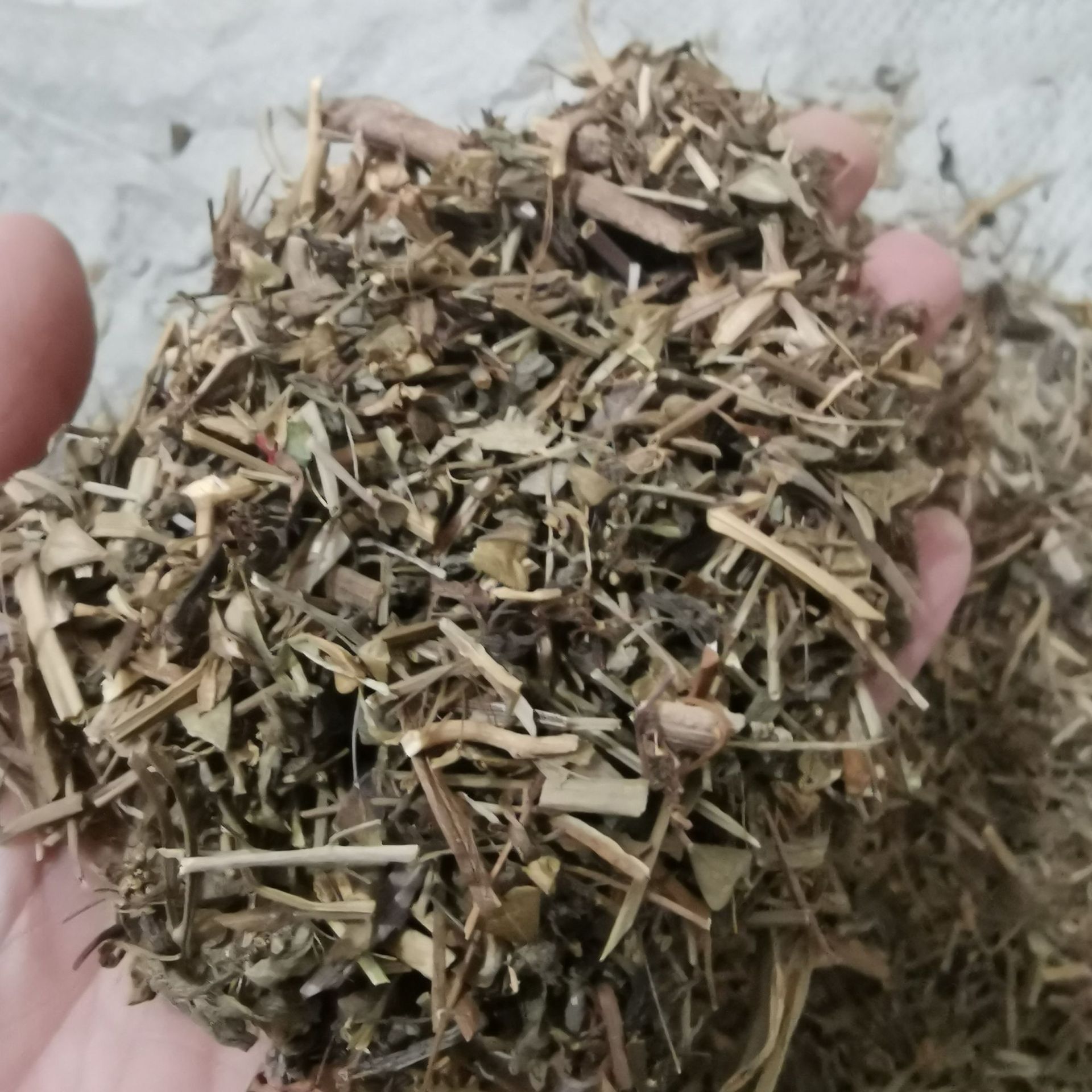 中药材荠菜荠菜花护生草净肠草地米菜清明草地米花