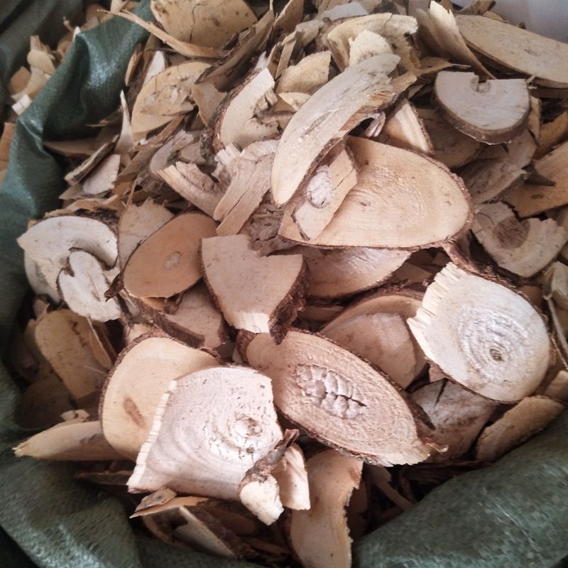 鹰不泊 中药材 鸟不宿 刺倒树 楤木 鸟不站 干货切片1000克