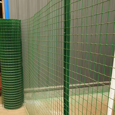 厂家批发养殖网 荷兰网 浸塑低碳钢丝 养鸡 鸭 围栏 铁丝网